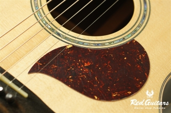 F130-GA Sitka Spruce / Indian Rosewood